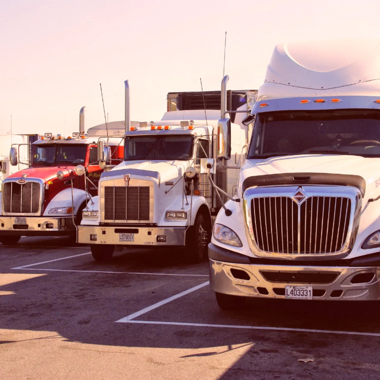 Distribution & Logistics