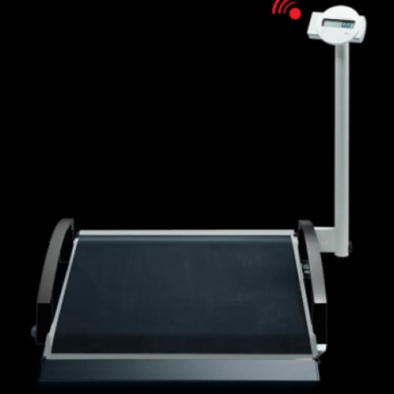 SECA 664 Wheelchair Scale