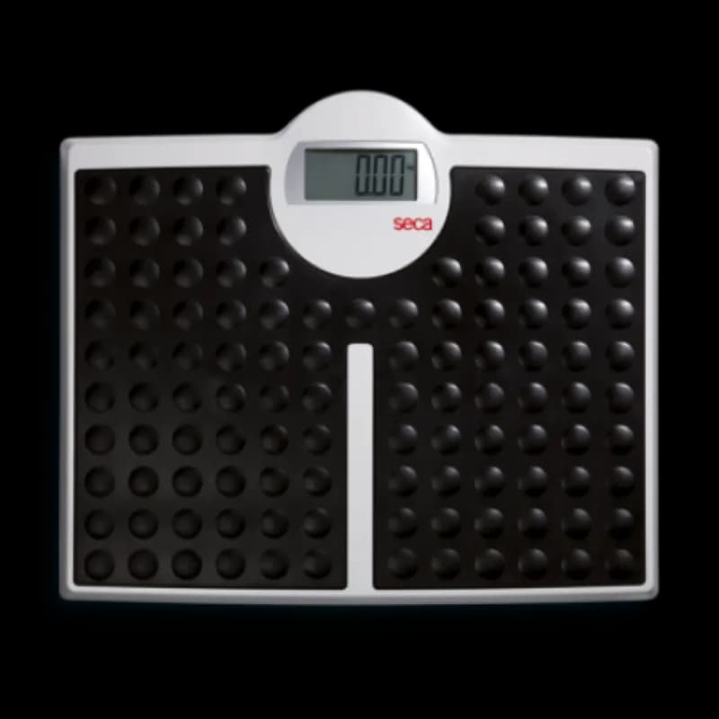 SECA 813 Stand On Flat Scale